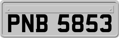 PNB5853