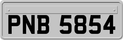 PNB5854