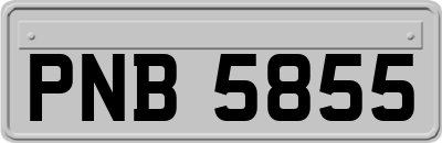 PNB5855