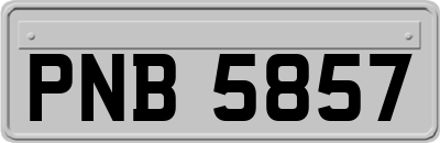 PNB5857