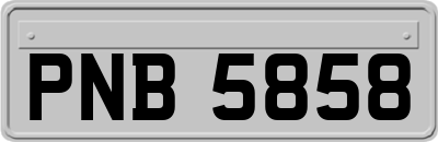 PNB5858