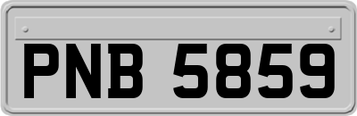 PNB5859