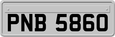 PNB5860