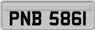 PNB5861