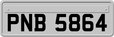 PNB5864