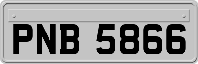 PNB5866