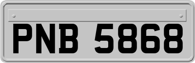 PNB5868