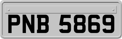 PNB5869
