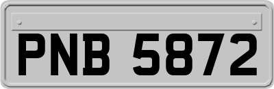 PNB5872