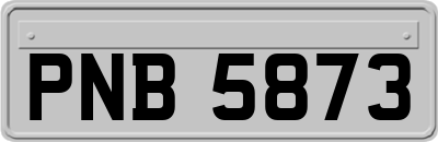 PNB5873