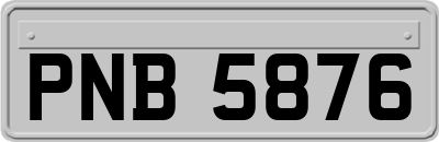 PNB5876