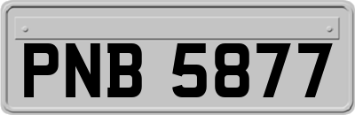 PNB5877