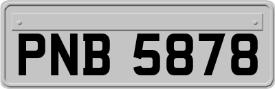 PNB5878