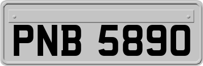 PNB5890