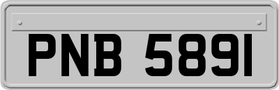PNB5891