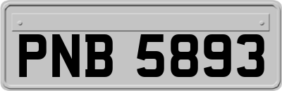 PNB5893