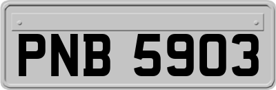 PNB5903