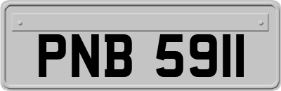 PNB5911