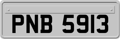 PNB5913
