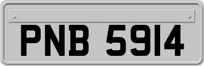 PNB5914