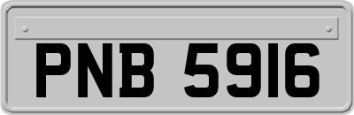 PNB5916