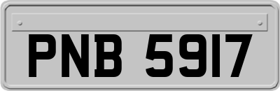 PNB5917