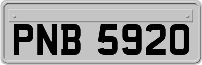 PNB5920