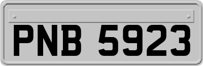 PNB5923