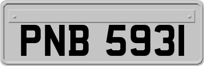 PNB5931