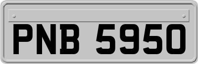 PNB5950