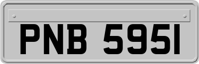 PNB5951