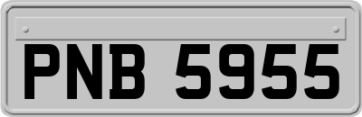 PNB5955