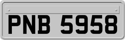 PNB5958