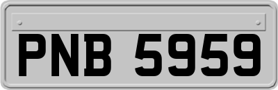 PNB5959