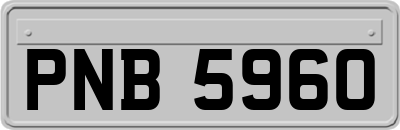 PNB5960