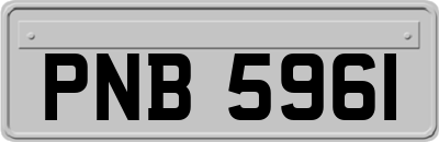 PNB5961