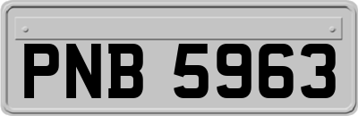 PNB5963
