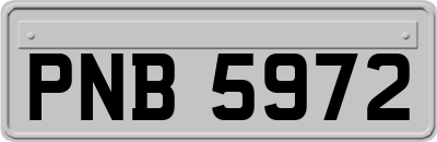 PNB5972
