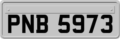 PNB5973