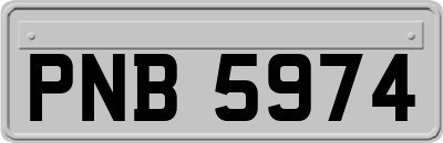 PNB5974