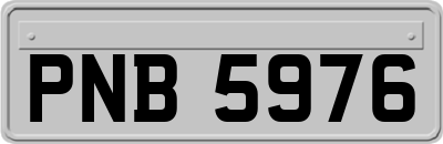 PNB5976