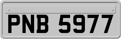 PNB5977