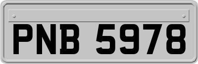 PNB5978