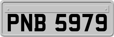 PNB5979
