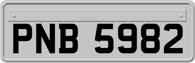 PNB5982