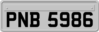 PNB5986