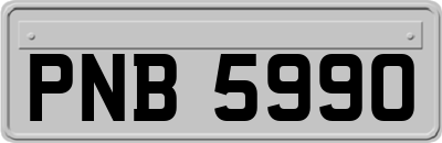 PNB5990