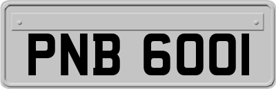 PNB6001