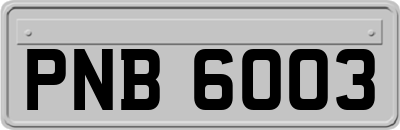 PNB6003