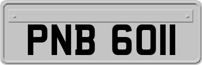 PNB6011